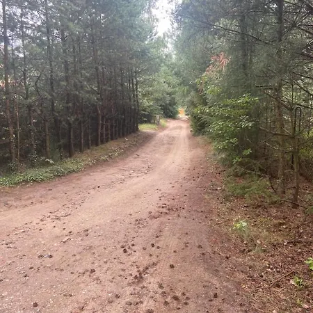 Nad Jeziorem Kamień Kemping Kowalewo (Wejherowo)