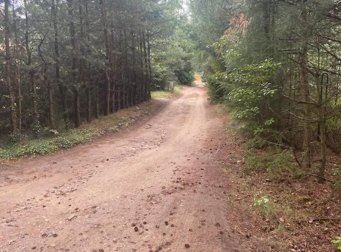 Nad Jeziorem Kamien Camping Kowalewo (Wejherowo)